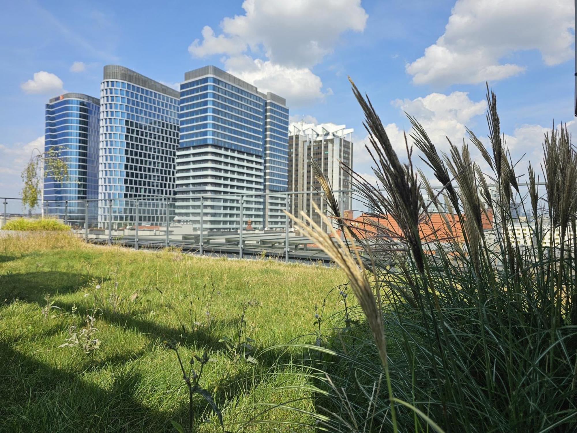 Urban Apartments Premium, Opolska 10 No 67B, Free Garage, Self Check-In Катовіце Екстер'єр фото